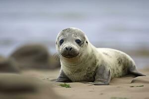 AI generated Harbor seal cub. AI Generated photo