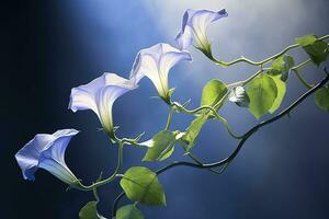 AI generated Morning Glory vine unfurling its delicate petals in the morning light. AI Generated photo