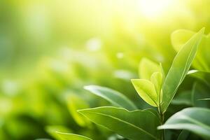 AI generated Nature of green leaf in a garden in summer under sunlight. Spring background. AI Generated photo