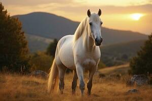 ai generado blanco caballo o yegua en el montañas a puesta de sol. ai generado foto