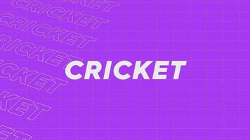 Kricket violett Promo Titel Seite dynamisch Animation Schleife. Reihen Intro Strom oben attraktiv Show Bildschirm nahtlos Hintergrund Karte. kreativ Beförderung Programm Übertragung Sport Design. video