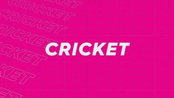 Cricket pink creative promotion program broadcast sport design. Promo title page dynamic animation loop. Rows intro stream up attractive show screen seamless background card. video