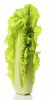 AI generated Lettuce isolated on white background. AI Generated photo