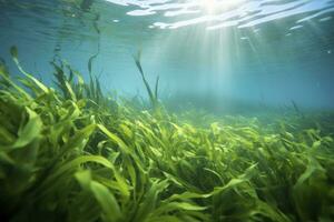 AI generated Underwater view of a group of seabed with green seagrass. AI Generated photo