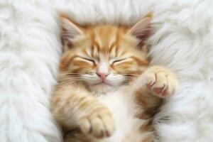 AI generated Red kitten, cat sleeping cute on white fur. Generative AI photo