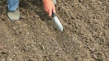 mano con attrezzo ispezionando suolo qualità nel un' campo, avvicinamento di suolo ispezione video