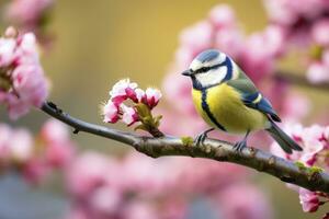 ai generado un bluetit pájaro descansando en el rama de un árbol. ai generado. foto