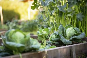 ai generado Fresco orgánico Bruselas coles creciente en el jardín. creciente propio frutas, vegetales. ai generado foto