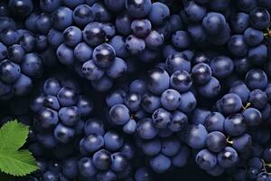 AI generated Flat lay background of vines, lots of organic blue dark grapes. AI Generated photo