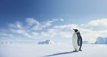 ai generado pingüino en pie en Antártida mirando dentro el azul cielo. ai generado foto