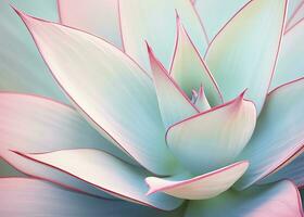 AI generated Agave leaves in trendy pastel colors for design backgrounds. AI Generated photo