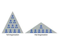 tall and flat organizational structure with wide and small wide spans of control vector