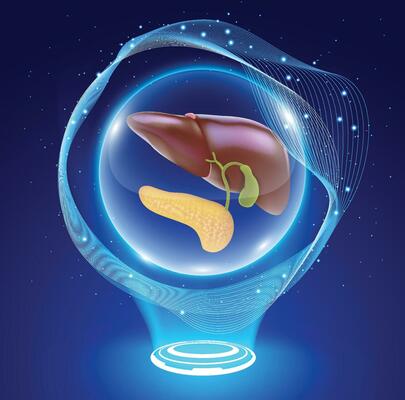 3D illustration of the human liver and pancreas in a crystal ball, like a liver patient waiting for a miracle from a liver donor.