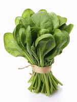 AI generated Bunch of spinach isolated on white background. AI Generated photo