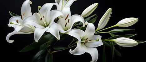 AI generated White lily flowers on black background. AI Generated photo