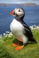 AI generated Puffin bird on a green grass patch. AI Generated photo