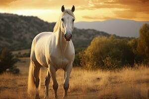 ai generado blanco caballo o yegua en el montañas a puesta de sol. ai generado foto