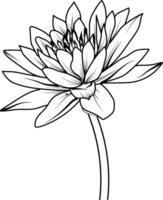 Waterlily flower outline, Beautiful botanical floral pattern illustration for coloring page or book, Egyptian lotus flower sketch art hand drawn monochrome, vector art, illustration