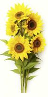 AI generated Sunflowers isolated on white background. AI Generated photo