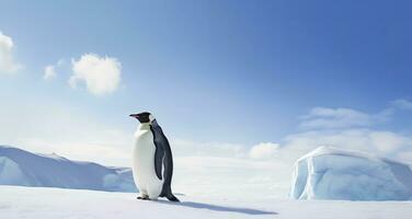 AI generated Penguin standing in Antarctica looking into the blue sky. AI Generated photo