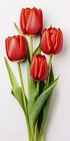 AI generated Red tulips isolated on white background. AI Generated photo