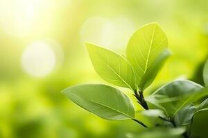 AI generated Nature of green leaf in a garden in summer under sunlight. Spring background. AI Generated photo