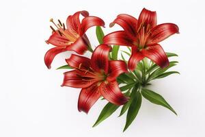 AI generated Red Lilies isolated on white background. AI Generated photo