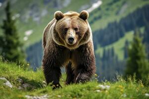 AI generated Brown bear moving on the green meadow in springtime nature. AI Generated photo