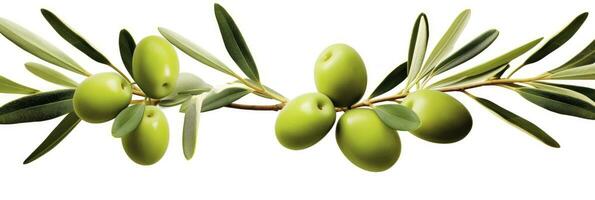 AI generated Olive tree branch, green olives and leaves on white background. AI Generated. photo