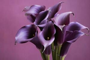 AI generated Bouquet of purple calla lilies against purple background.AI Generated photo