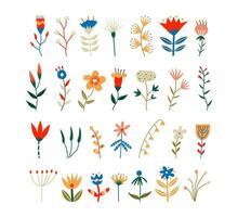 Set of north forest flowers. Vector illustration set.