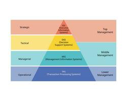 Types of Information System for MIS, TPS, DSS and EIS, level of decision making Pyramid vector