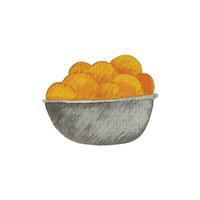 hand drawn bowl with oranges inside vector