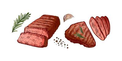 Organic food. Hand drawn colored vector sketch of grilled beef steaks, pieces of meat with rosemary and garlic. Vintage illustration. Decorations for menu. Engraved image.