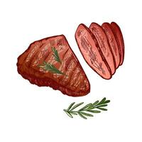 Organic food. Hand drawn colored vector sketch of grilled beef steak, piece of meat with rosemary. Vintage illustration. Decorations for menu. Engraved image.