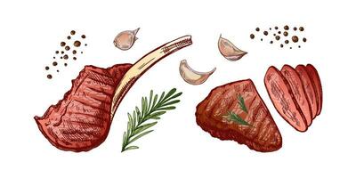 orgánico alimento. mano dibujado de colores vector bosquejo de A la parrilla carne de vaca bife, pedazo de carne en el hueso con Romero y ajo. decoraciones para menú. grabado imagen.