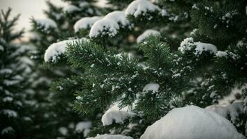 AI generated Illustrate the contrast between the dark evergreen needles and the pristine snow settling on the branches of a coniferous tree. photo