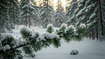 ai generado ilustrar el peso de recién caído nieve en el ramas de conífero árboles, enfatizando el desafío eso regalos a el arboles y el etéreo belleza eso agrega a el bosque. foto