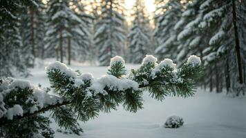 AI generated Illustrate the weight of freshly fallen snow on the branches of coniferous trees, emphasizing the challenge it presents to the trees and the ethereal beauty it adds to the forest. photo