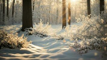 ai generado luz de sol filtración mediante cargado de nieve ramas capturar el etéreo calidad de invierno luz de sol filtración mediante denso, cubierto de nieve sucursales, fundición un suave y calentar resplandor en el bosque foto