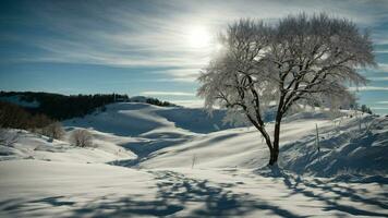 AI generated Create a scene where the moonlight casts long shadows of barren branches on a snow-covered hill. photo