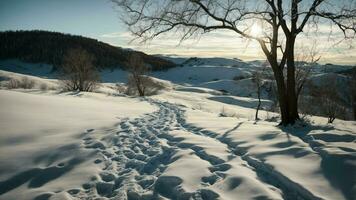 AI generated Create a scene where the moonlight casts long shadows of barren branches on a snow-covered hill. photo