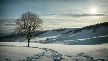 AI generated Create a scene where the moonlight casts long shadows of barren branches on a snow-covered hill. photo