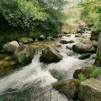 ai generado naturaleza foto de el fluido agua de el regus río