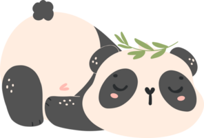 carino bambino panda nel addormentato posa cartone animato mano disegnato piatto design png