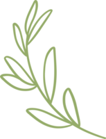 Bamboo green leaves outline decoration illustration png