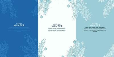 collection of winter vector design Backgrounds with pine branches and snowflakes theme design. for card banners, posters, social media, promotions