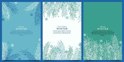 Collection Winter vector design background with pine branches and snowflakes theme design template. for card, banner, poster, social media, promotion background