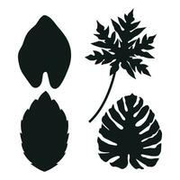 Set Of Tropical leaf silhouette vector