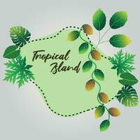 illustration of an background with leaves or nature text box vector